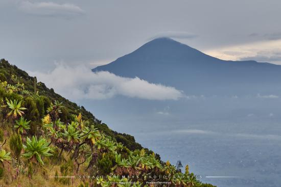 Volcan Bisoké, République Démocratique du Congo