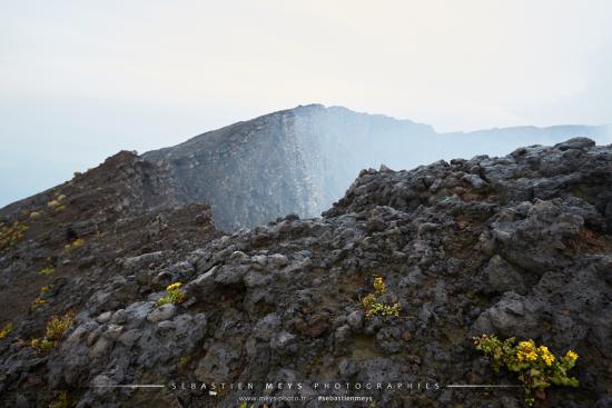 Fumeroles au sommet du volcan Nyiragongo