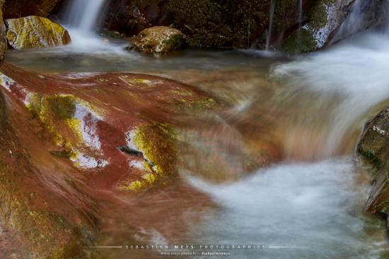 Gorges du Cians