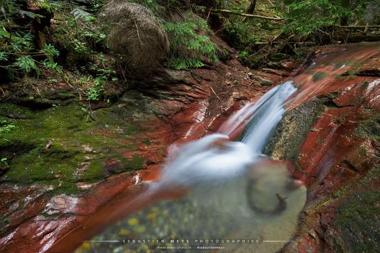 Gorges du Cians