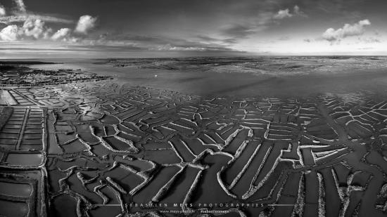 Estuaire de la Seudre